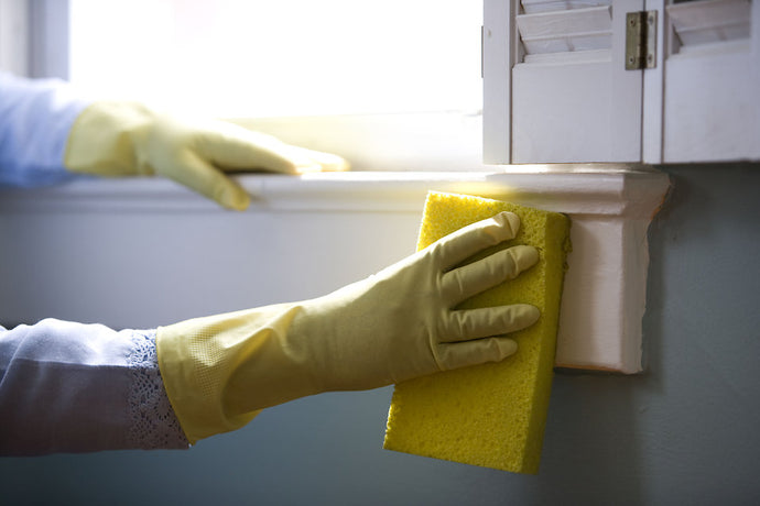 4 THINGS TO DO TO MAKE SURE YOUR HOUSE IS NEVER SICK